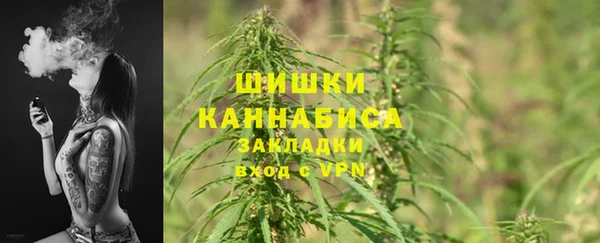 прущие крисы Белокуриха