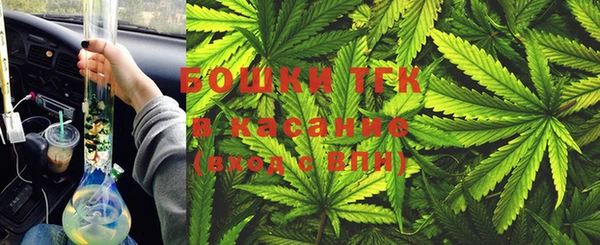 прущие крисы Белокуриха