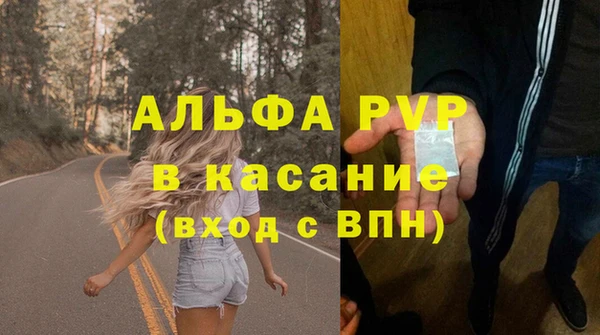 стаф Россошь