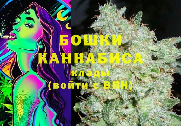 стаф Россошь
