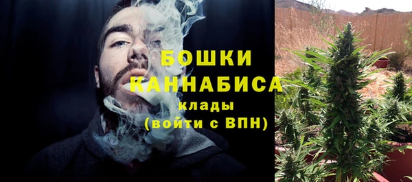 стаф Россошь