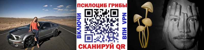 Галлюциногенные грибы мицелий  Бородино 